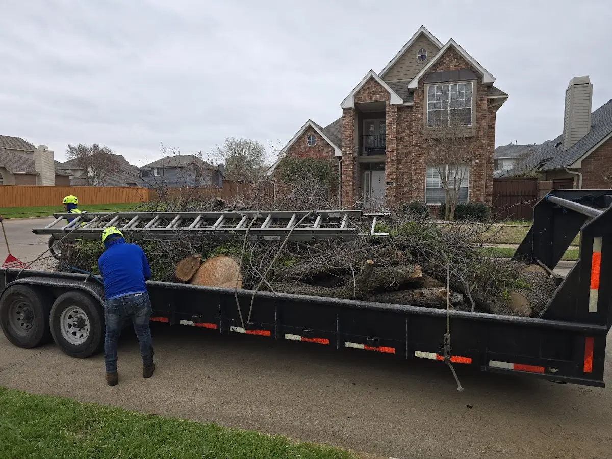 Expert Tree Removal with proper safety equipment in Washingtonville